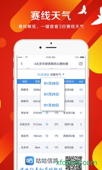 布谷鸟信鸽下载