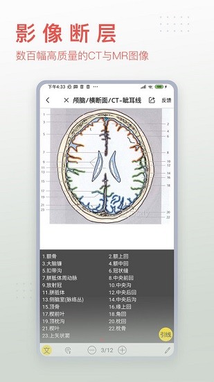 下载3dbody解剖手机版