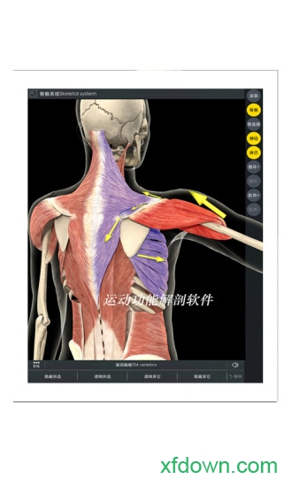 下载3D Body安卓版