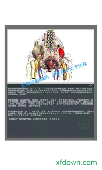 下载3D Body应用程序